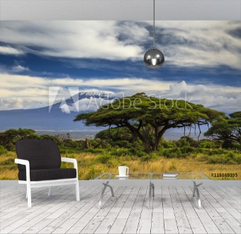 Picture of Beautiful African landscape on the background of Kilimanjaro Ke